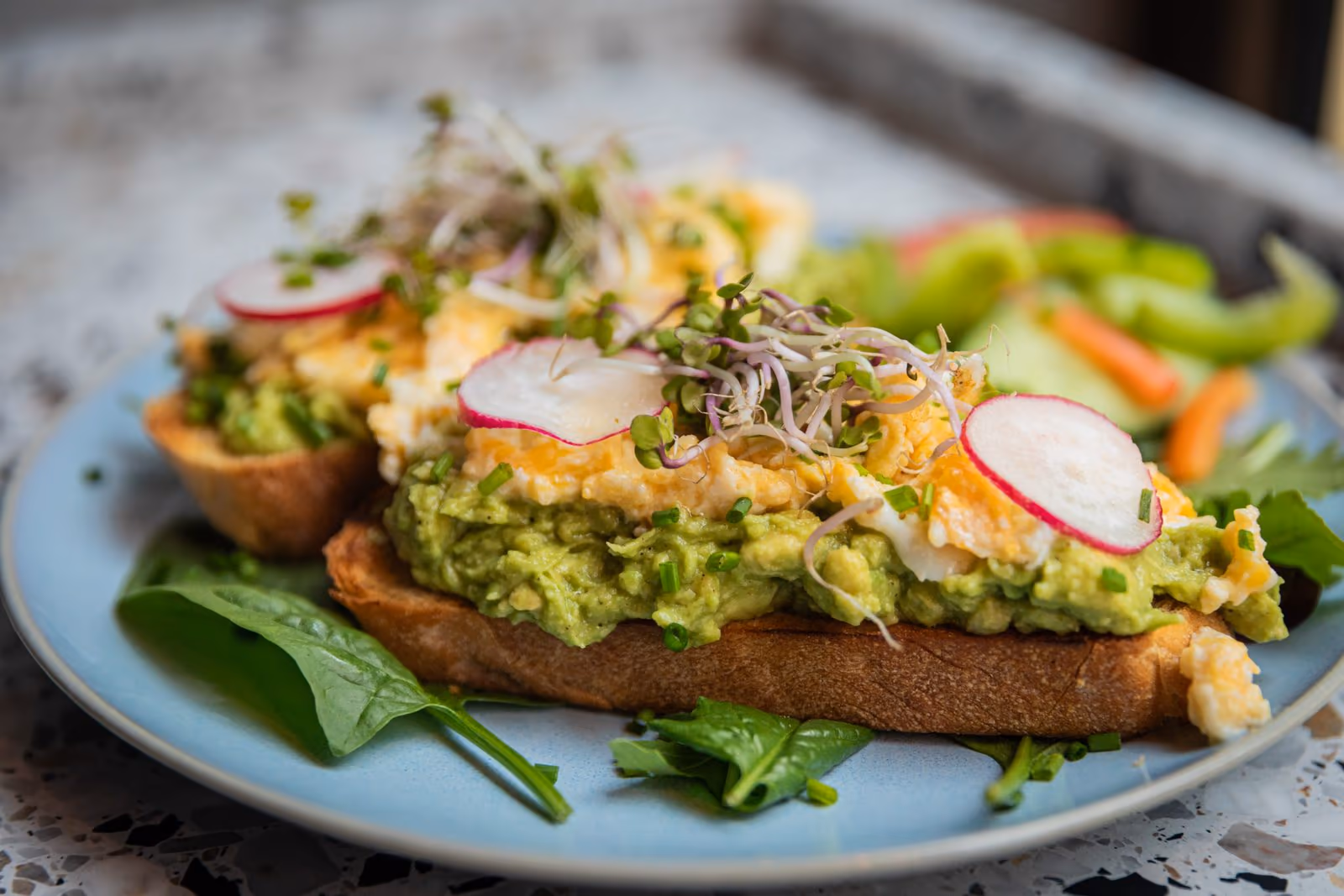 Avocado-Toast mit Radieschen und Sprossen